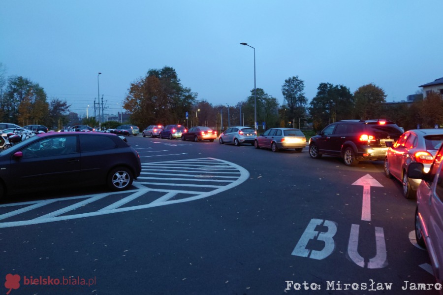 Długa kolejka samochodów do punktu wymazów. Policja pilnie potrzebna - foto