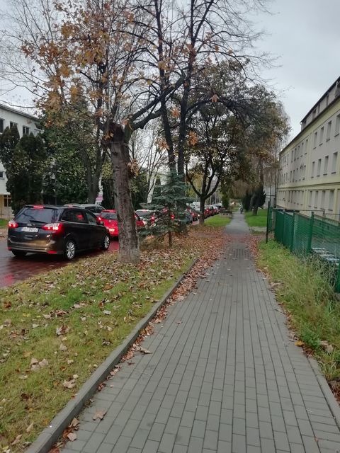 Koszmar na osiedlu Grunwaldzkim. Punkt badań zostanie przeniesiony? - foto