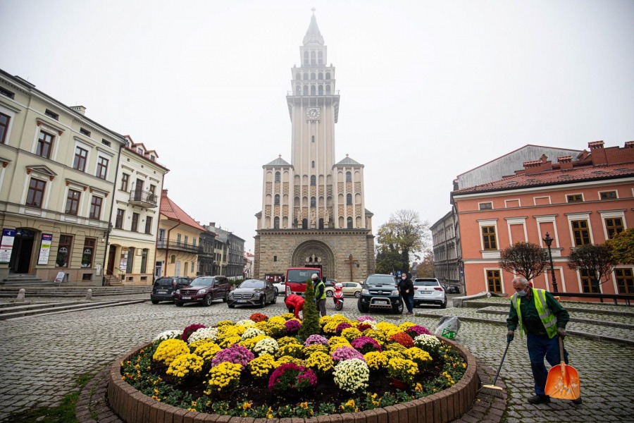 Setki chryzantem ozdobiły centrum Bielska-Białej. Inne będą zutylizowane - foto
