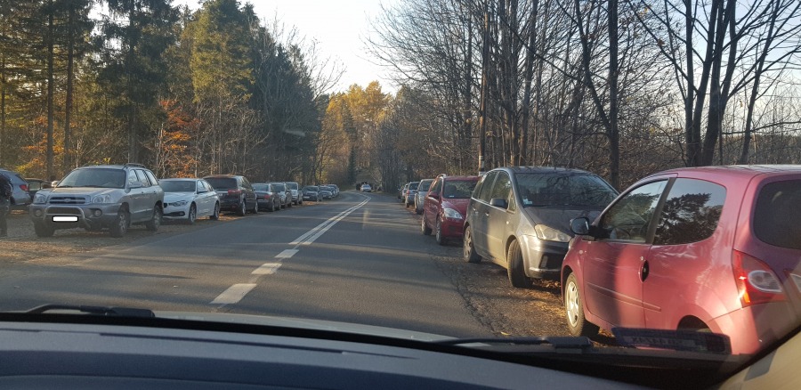 Pełne parkingi i pobocza. Tłumy na terenach rekreacyjnych Bielska-Białej - foto