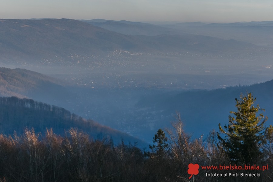 Enklawa w Bielsku-Białej. Tam można oddychać świeżym powietrzem! ZDJĘCIA