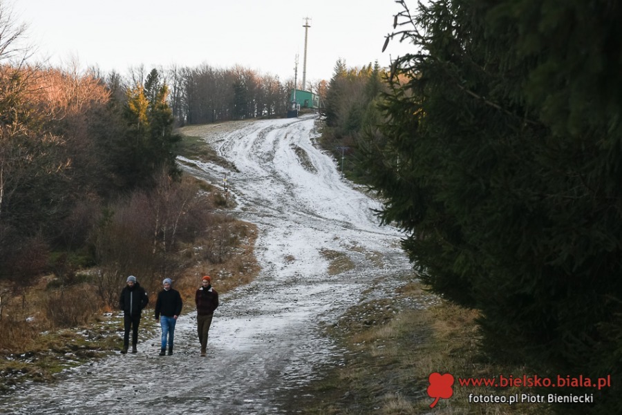 Enklawa w Bielsku-Białej. Tam można oddychać świeżym powietrzem! ZDJĘCIA