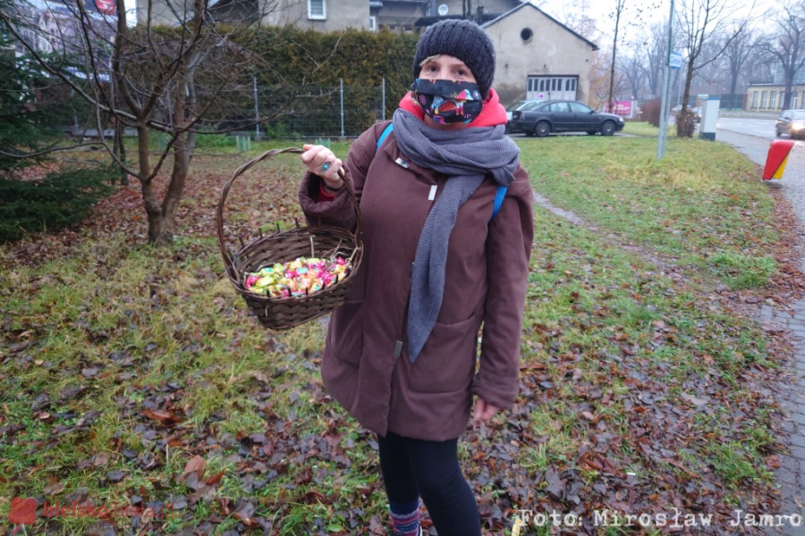 Miasto robi się coraz bardziej kolorowe. Bielszczanie dekorują choinki na skwerach - foto