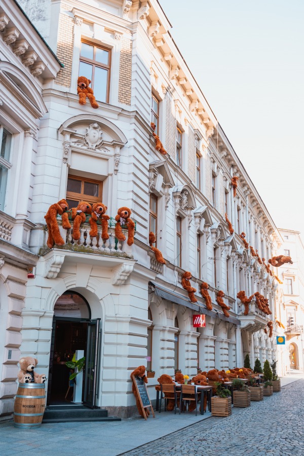 #chceMISIE przed Magnum. Klienci czekają na otwarcie bielskich restauracji - foto