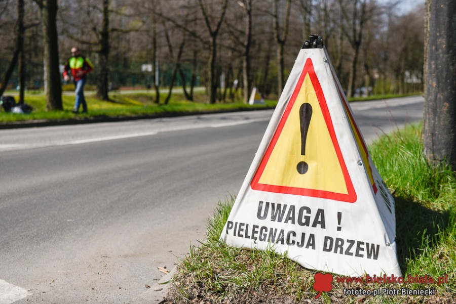 Liny zawisły nad ul. Górską. Bielsko-Biała ułatwia życie... wiewiórkom ZDJĘCIA
