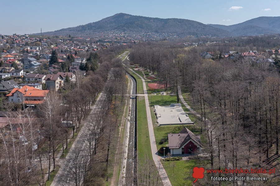 Liny zawisły nad ul. Górską. Bielsko-Biała ułatwia życie... wiewiórkom ZDJĘCIA