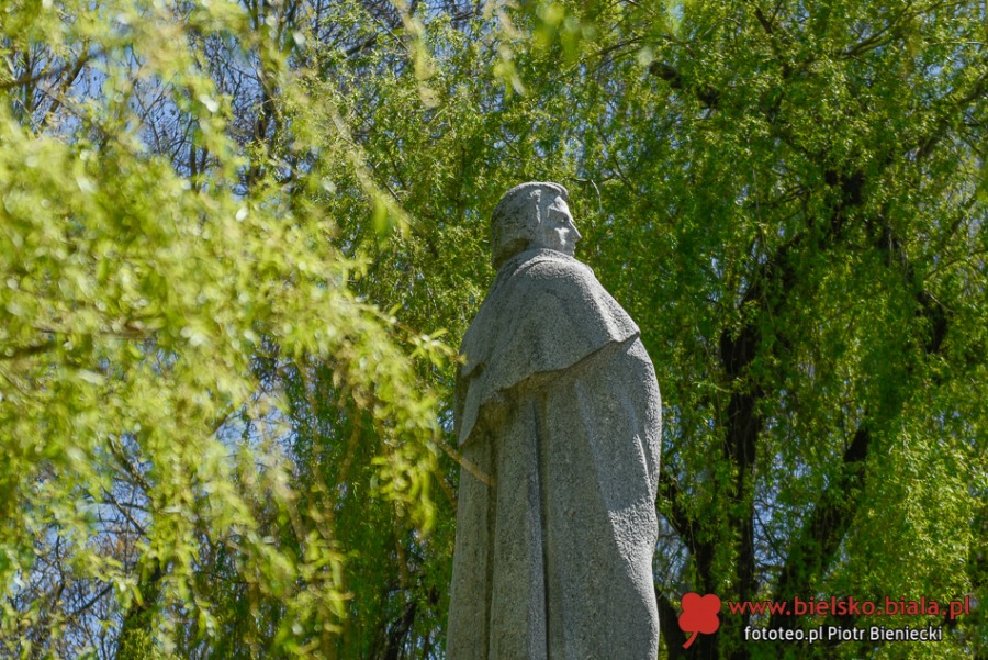 Kwitnące dywany w Bielsku-Białej. Bielszczanie spacerują i fotografują wiosnę ZDJĘCIA