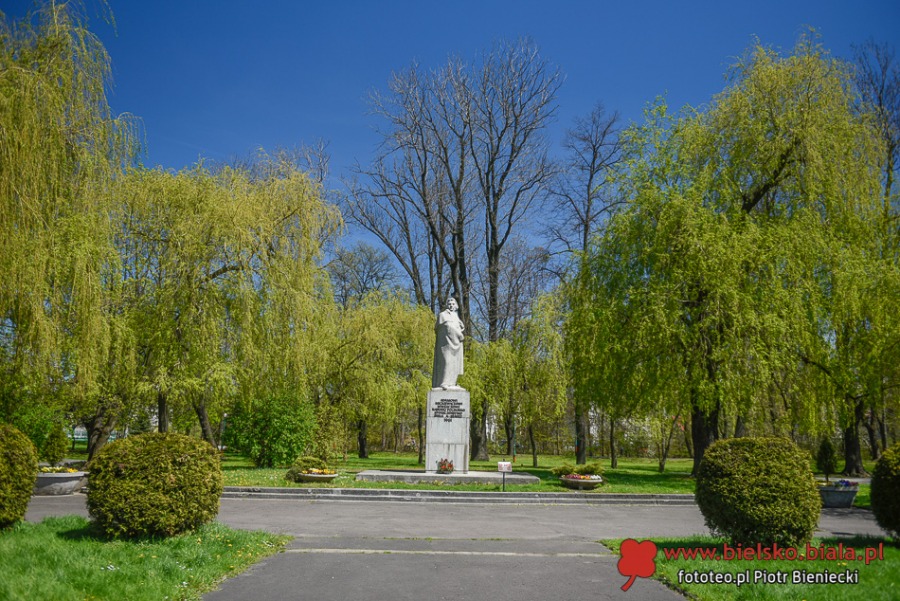 Kwitnące dywany w Bielsku-Białej. Bielszczanie spacerują i fotografują wiosnę ZDJĘCIA