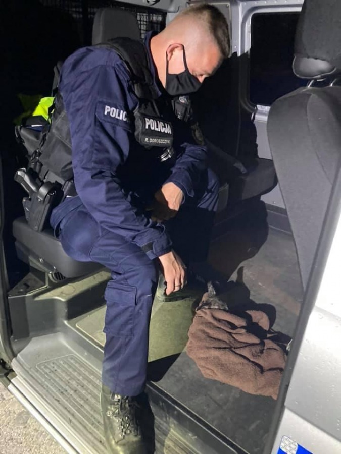 Sarniątko przyszło na świat na ulicy. Ciężarna sarna nie przeżyła wypadku - foto