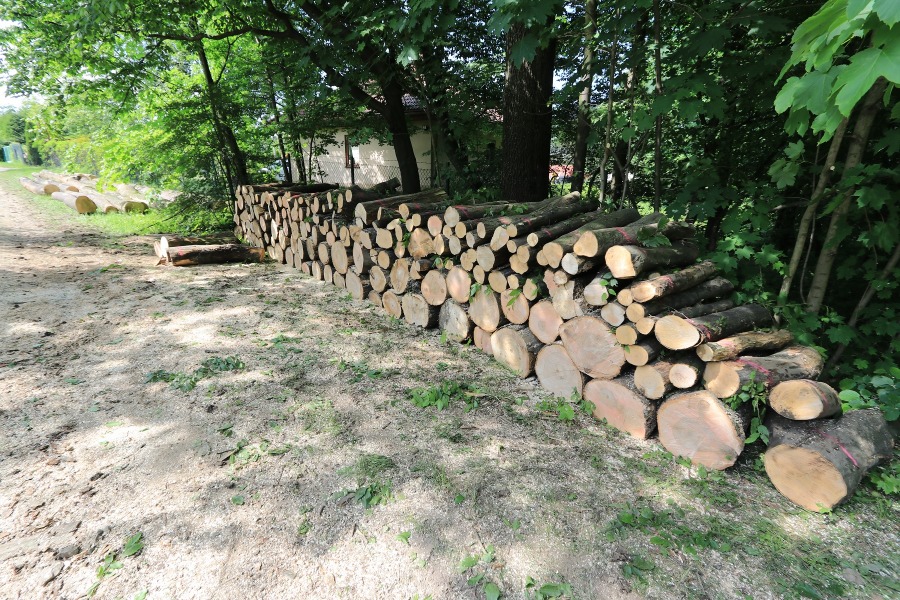 Oburzenie z powodu dewastacji Doliny Gościnnej. Ostre stanowisko Stowarzyszenia Olszówka