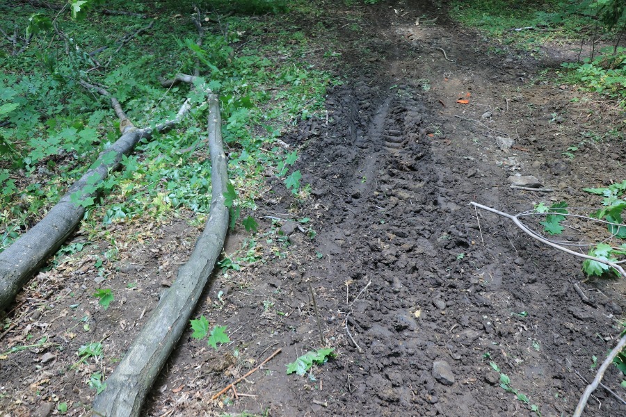 Oburzenie z powodu dewastacji Doliny Gościnnej. Ostre stanowisko Stowarzyszenia Olszówka