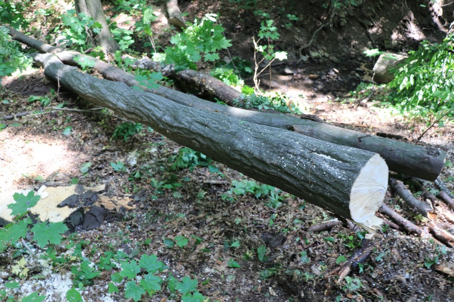 Oburzenie z powodu dewastacji Doliny Gościnnej. Ostre stanowisko Stowarzyszenia Olszówka