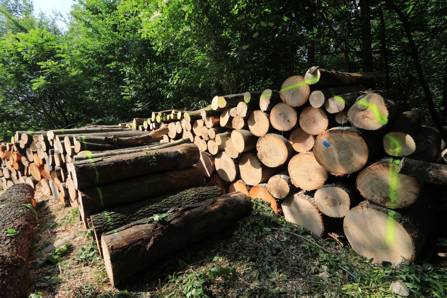 Oburzenie z powodu dewastacji Doliny Gościnnej. Ostre stanowisko Stowarzyszenia Olszówka