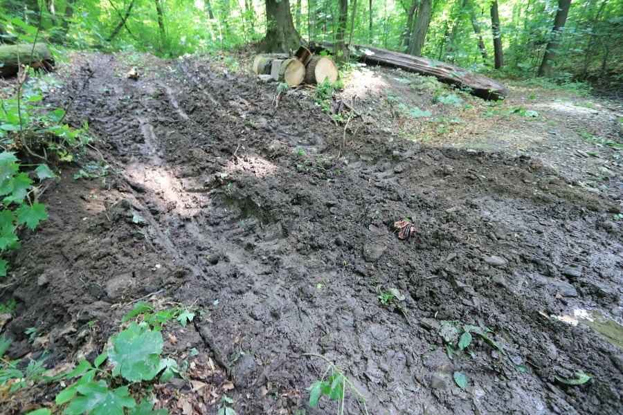 Oburzenie z powodu dewastacji Doliny Gościnnej. Ostre stanowisko Stowarzyszenia Olszówka