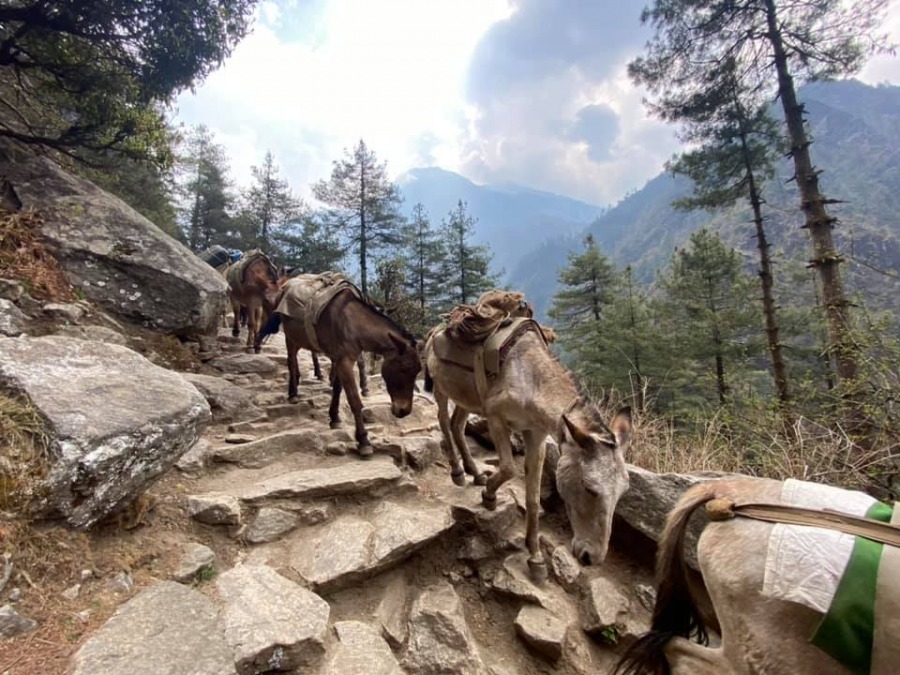 Szokujące oblicze Nepalu. Bielszczanie chcą budować szkołę w Himalajach! ZDJĘCIA