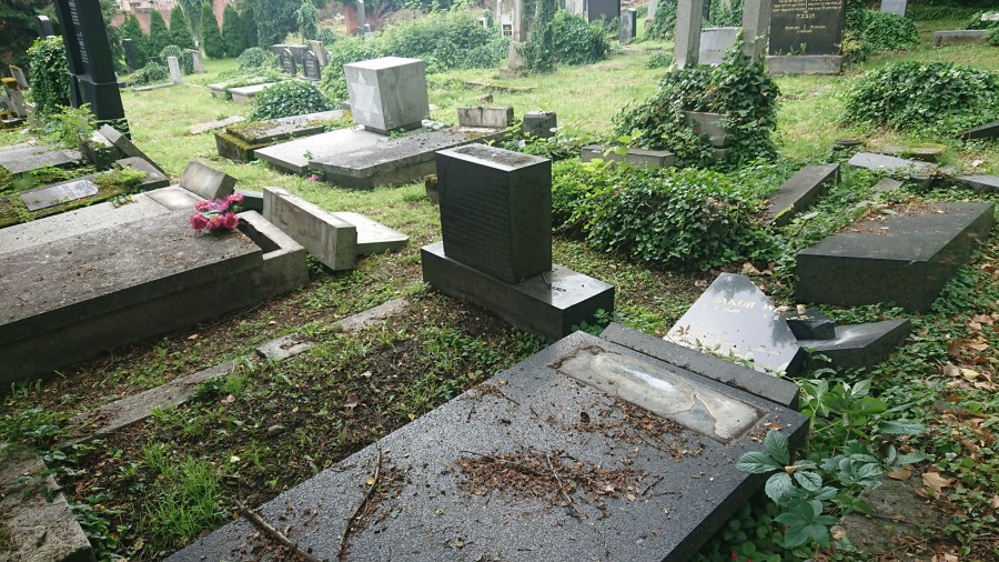 Masowa dewastacja nagrobków na cmentarzu żydowskim. Doszło do profanacji ZDJĘCIA