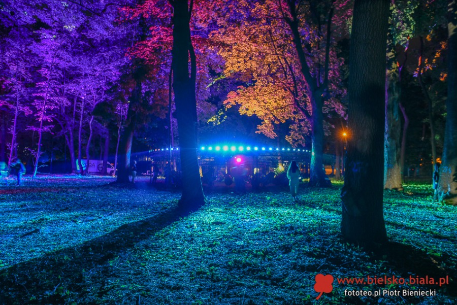 Bajeczny pokaz w Parku Strzygowskiego. Czegoś takiego jeszcze nie było! ZDJĘCIA