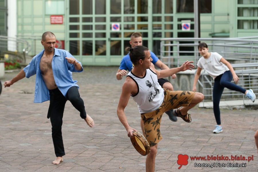 Najniebezpieczniejszy taniec i najpiękniejsza sztuka walki. Pokazy w Bielsku-Białej - foto