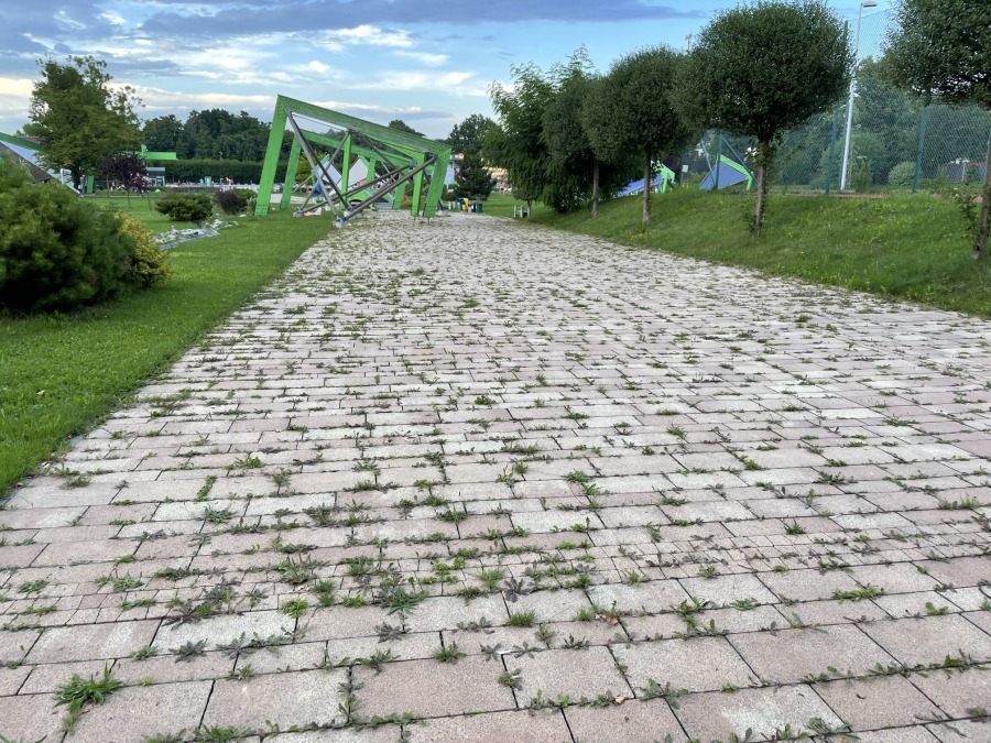 Chwasty i łuszcząca się farba na kąpielisku w Cygańskim Lesie ZDJĘCIA