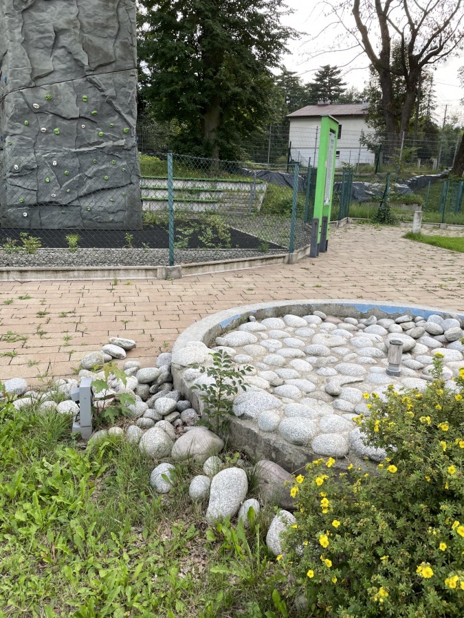 Chwasty i łuszcząca się farba na kąpielisku w Cygańskim Lesie ZDJĘCIA