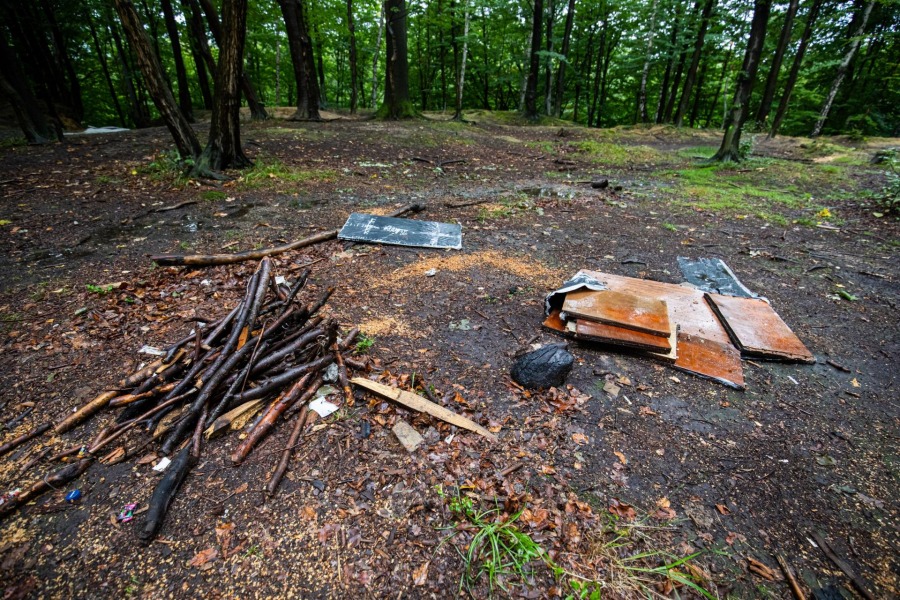 Nielegalna trasa rowerowa w Wapienicy. W pobliżu schną okazałe drzewa ZDJĘCIA