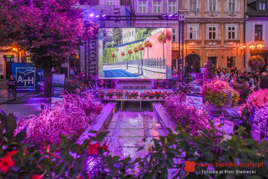 Wielki ogród zakwitł na Rynku. Porywający koncert dla miasta kwiatów ZDJĘCIA