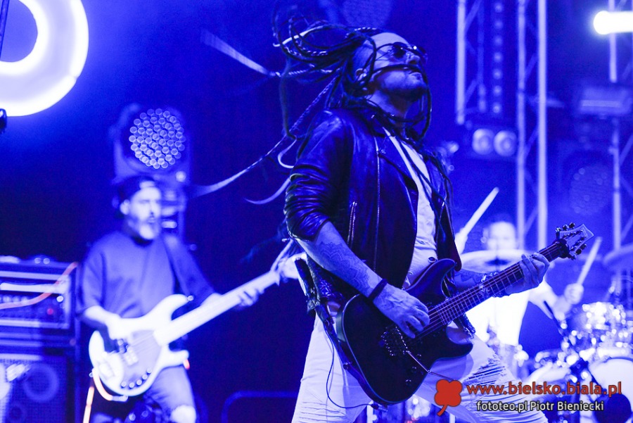 Wielki ogród zakwitł na Rynku. Porywający koncert dla miasta kwiatów ZDJĘCIA