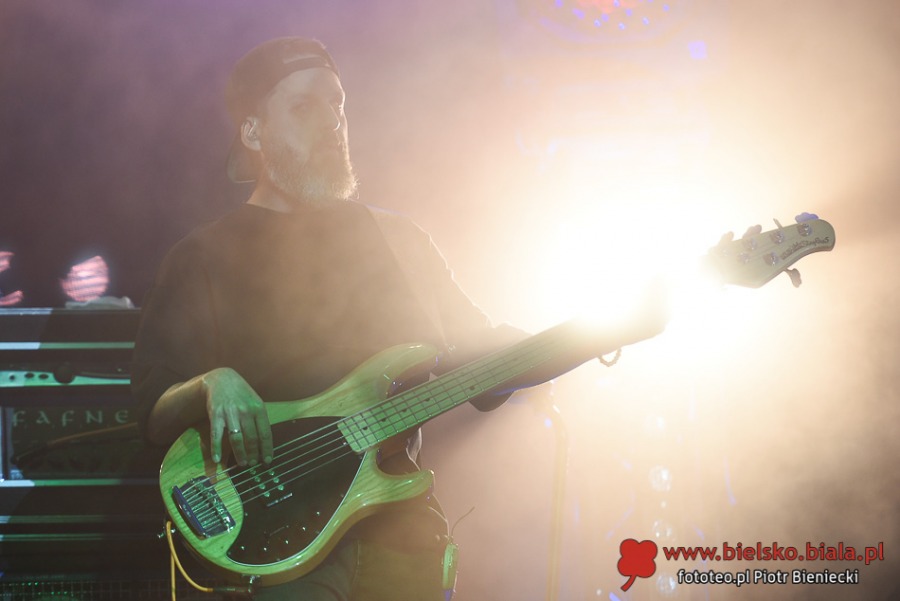Wielki ogród zakwitł na Rynku. Porywający koncert dla miasta kwiatów ZDJĘCIA