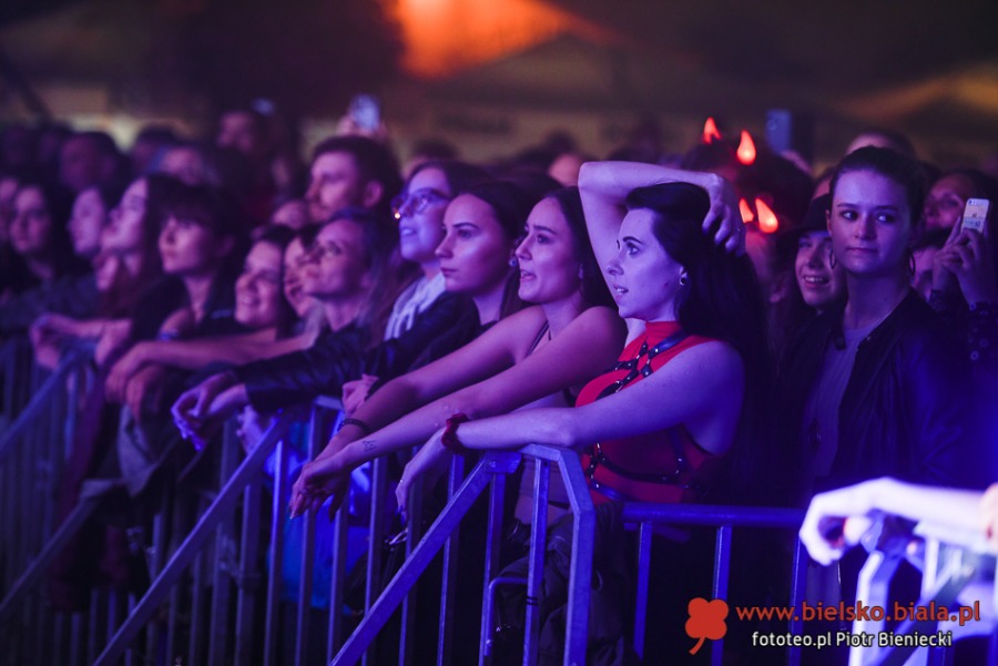 Wielki ogród zakwitł na Rynku. Porywający koncert dla miasta kwiatów ZDJĘCIA