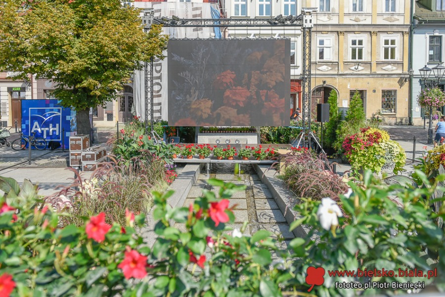 Feta na Rynku. Nagroda dla najbardziej ukwieconego miasta w Polsce ZDJĘCIA