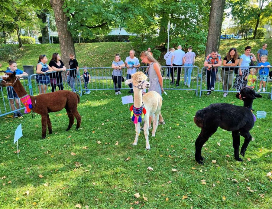 Tłumy w Parku Słowackiego. Można wygrać zaproszenia do parków rozrywki i restauracji ZDJĘCIA