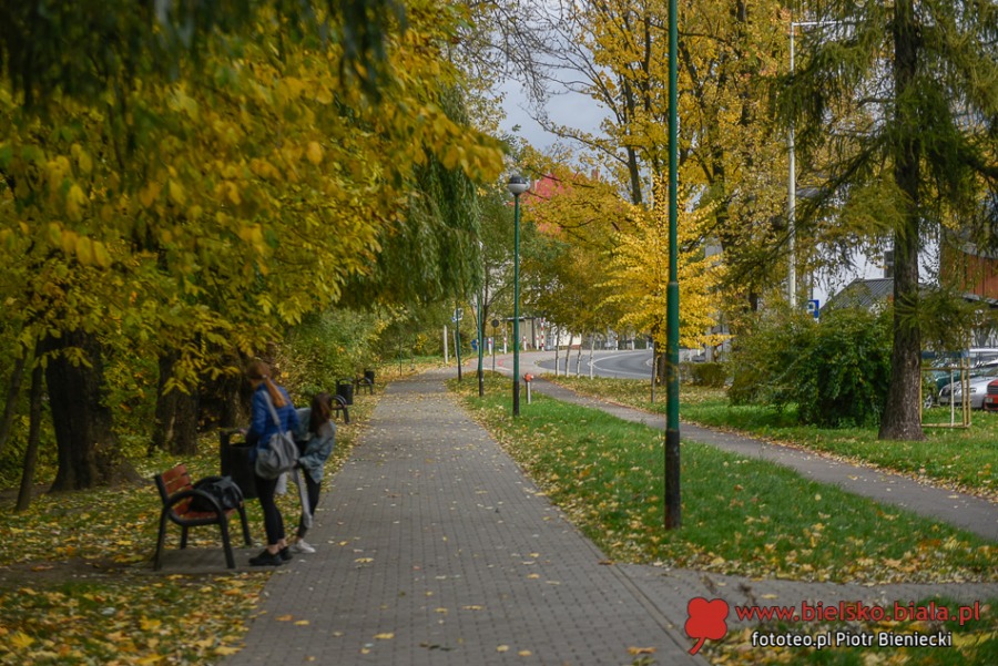 Nie wszystko skasowano. Ukryte ślady po bielskich tramwajach ZDJĘCIA