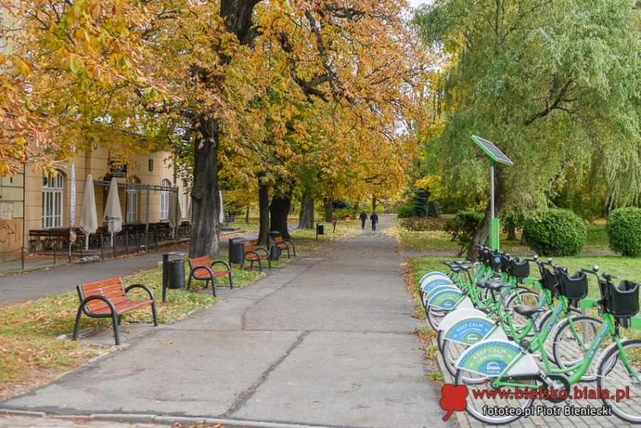 Nie wszystko skasowano. Ukryte ślady po bielskich tramwajach ZDJĘCIA