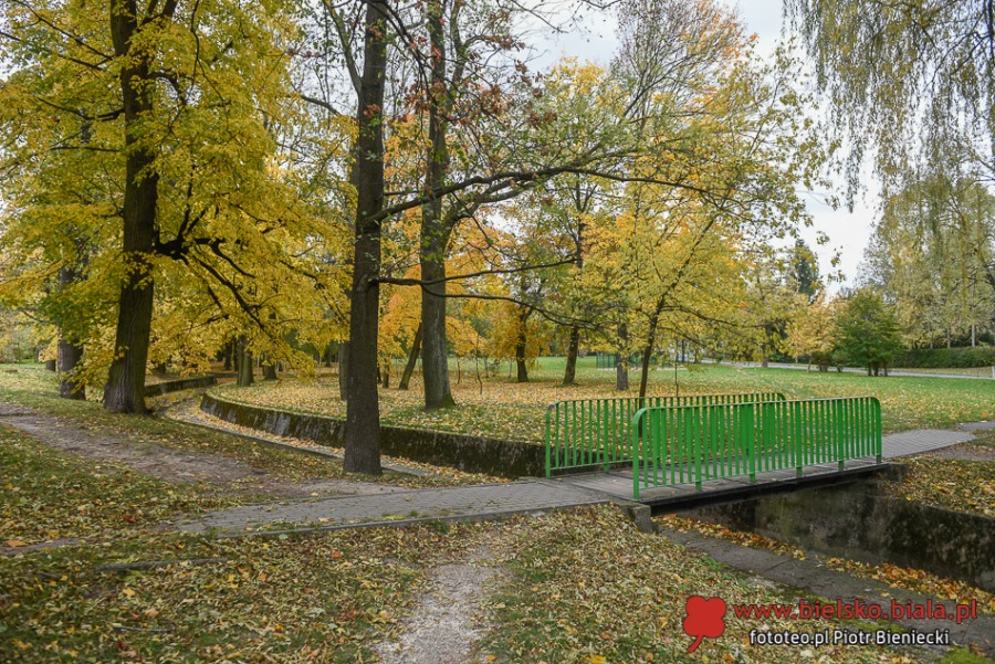 Nie wszystko skasowano. Ukryte ślady po bielskich tramwajach ZDJĘCIA
