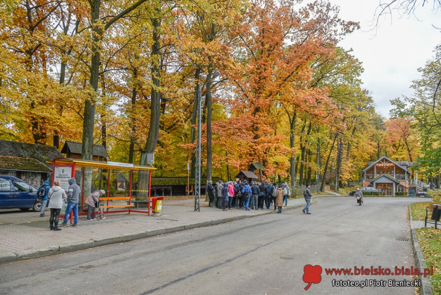 Nie wszystko skasowano. Ukryte ślady po bielskich tramwajach ZDJĘCIA