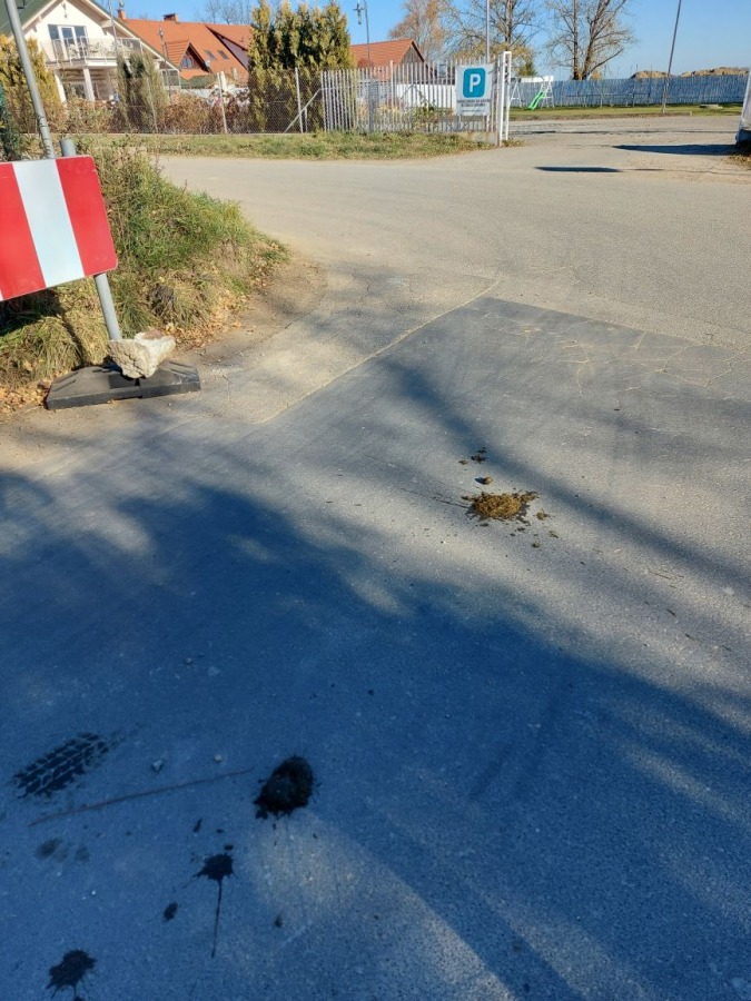 Plaga końskich odchodów na drogach i ścieżkach spacerowych w Bielsku-Białej - foto
