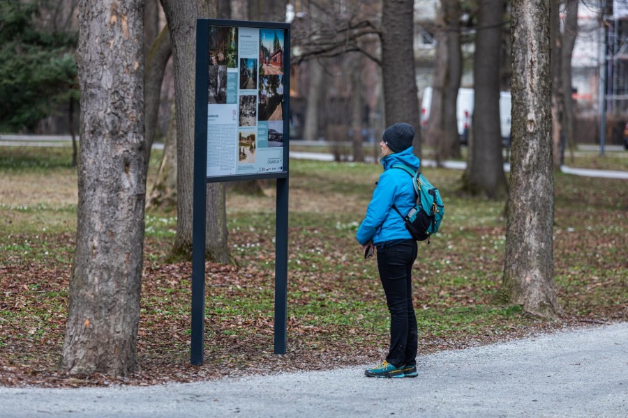 Cudna wiosna w Cygańskim Lesie. Zasadzono kilkadziesiąt tysięcy roślin ZDJĘCIA