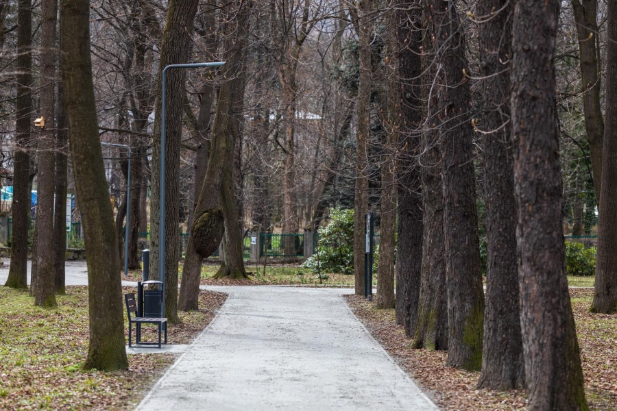 Cudna wiosna w Cygańskim Lesie. Zasadzono kilkadziesiąt tysięcy roślin ZDJĘCIA