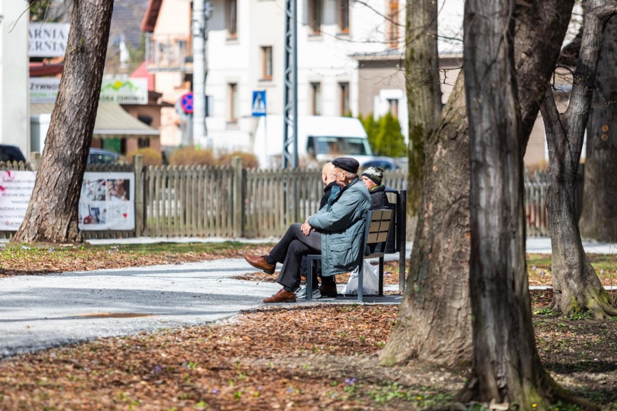 Cudna wiosna w Cygańskim Lesie. Zasadzono kilkadziesiąt tysięcy roślin ZDJĘCIA