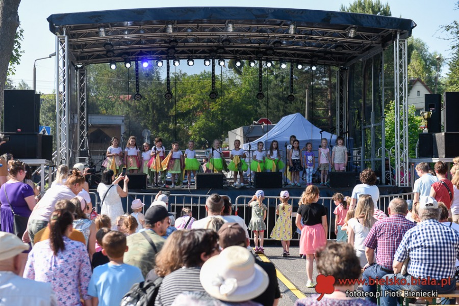 Szczęk oręża i efektowne walki w Starym Bielsku. Widzowie byli zachwyceni ZDJĘCIA
