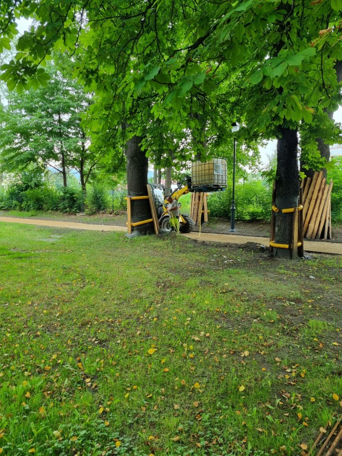 Tysiące nowych roślin w Parku Włókniarzy. Wiemy kiedy ma być gotowy - foto