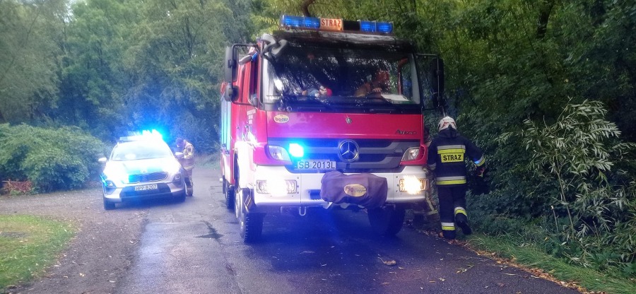 Niebezpieczny wieczór w Bielsku-Białej i okolicach. Powalone konary, zalane piwnice - foto