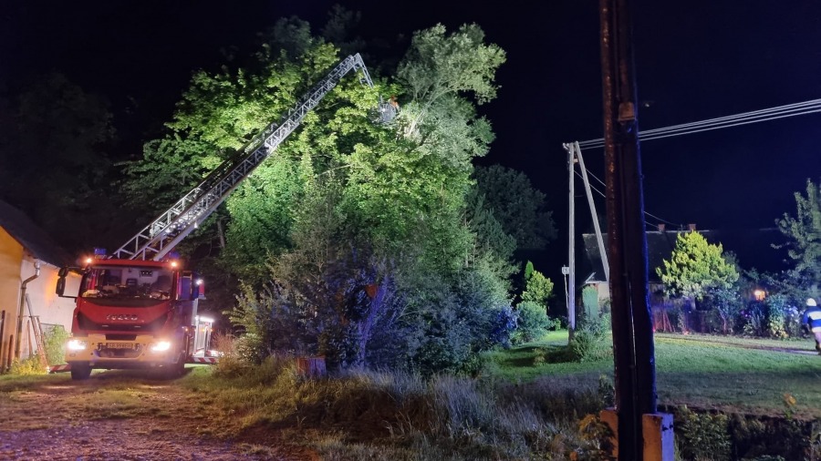 Niebezpieczny wieczór w Bielsku-Białej i okolicach. Powalone konary, zalane piwnice - foto