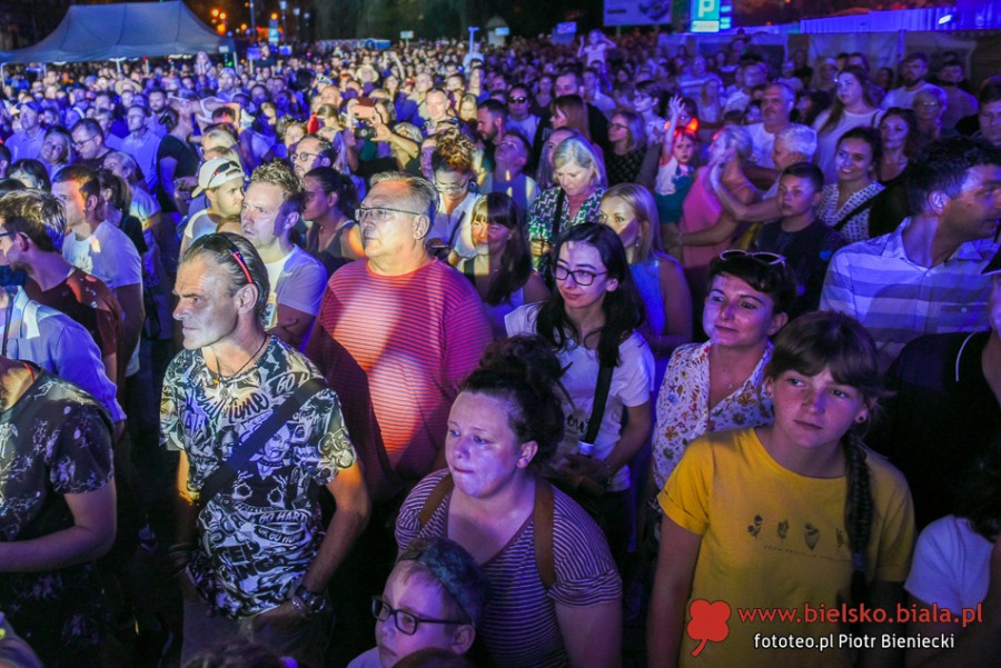 Świetny Organek na placu Ratuszowym. To dopiero początek atrakcji ZDJĘCIA