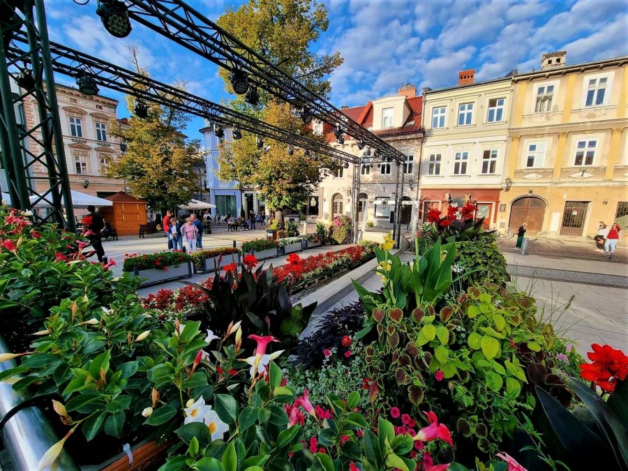 (WIDEO) Na 11 Listopada stanęła scena. Rynek nagle wypiękniał ZDJĘCIA