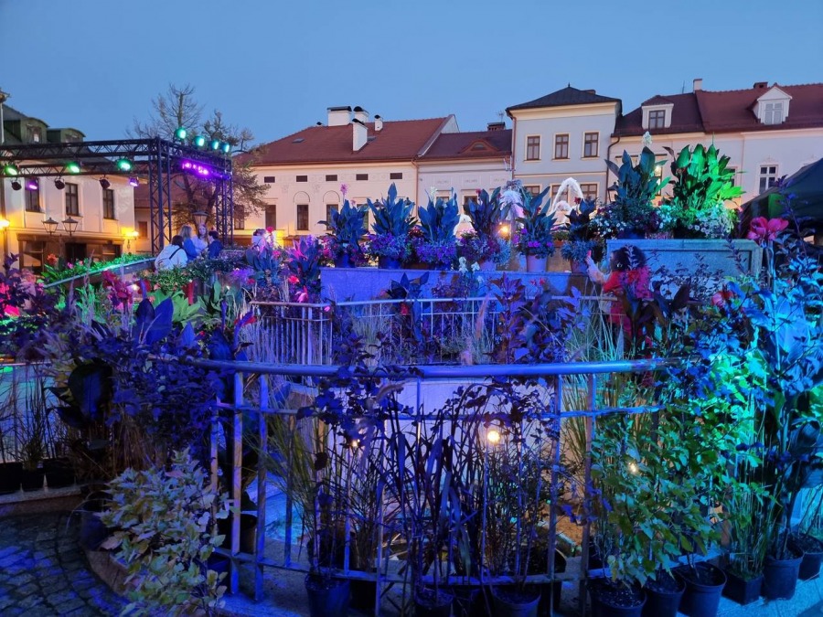 Zachwycająca góra kwiatów na Rynku. Bielsko-Biała tańczy w rytmie ska ZDJĘCIA