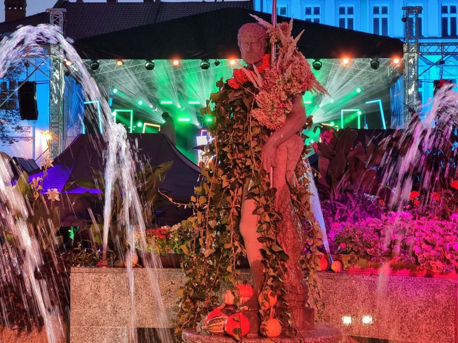 Zachwycająca góra kwiatów na Rynku. Bielsko-Biała tańczy w rytmie ska ZDJĘCIA
