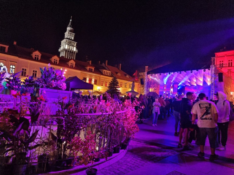 Zachwycająca góra kwiatów na Rynku. Bielsko-Biała tańczy w rytmie ska ZDJĘCIA