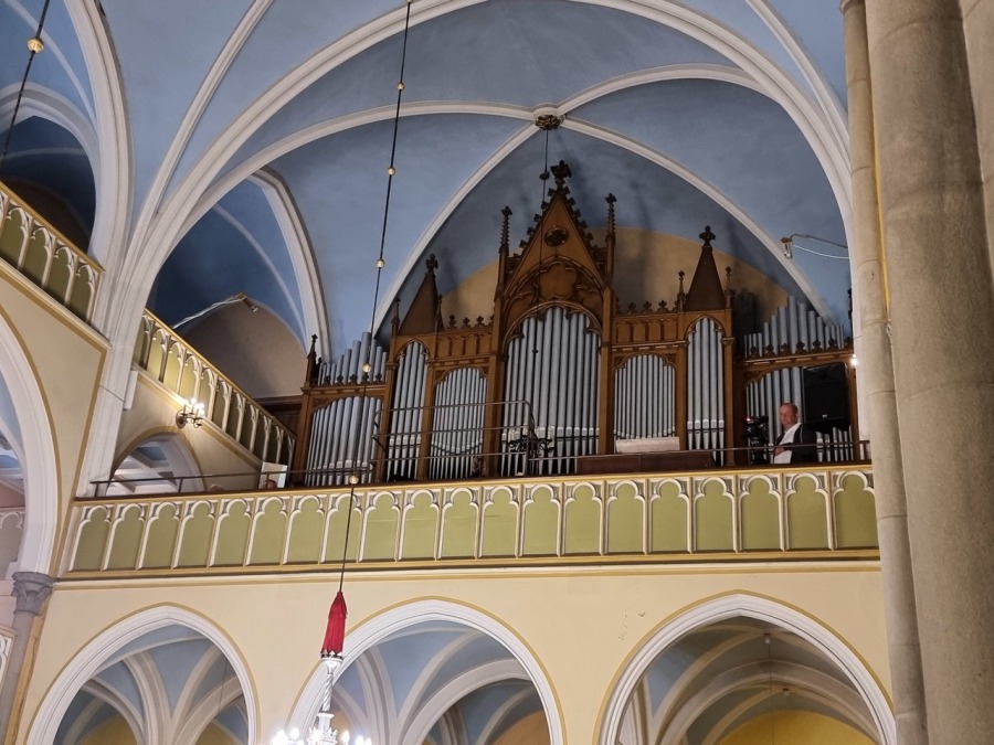Kolebka historii Bielska. Nieczynna nekropolia to enklawa dzikiej przyrody ZDJĘCIA