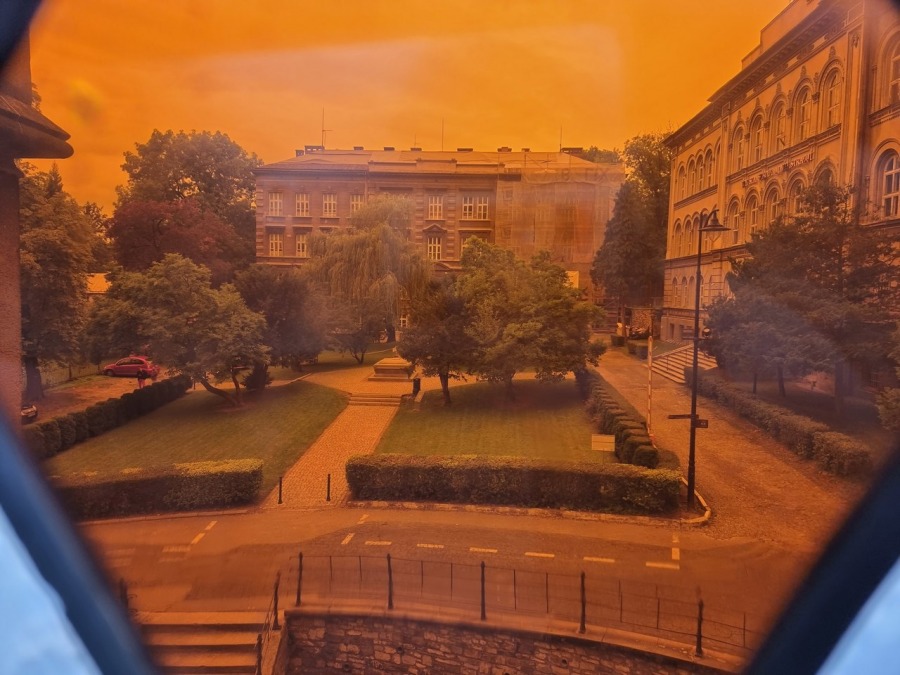 Kolebka historii Bielska. Nieczynna nekropolia to enklawa dzikiej przyrody ZDJĘCIA